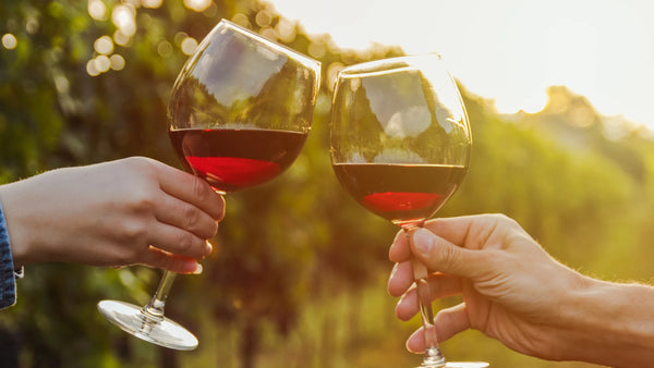 Vinhos Tintos