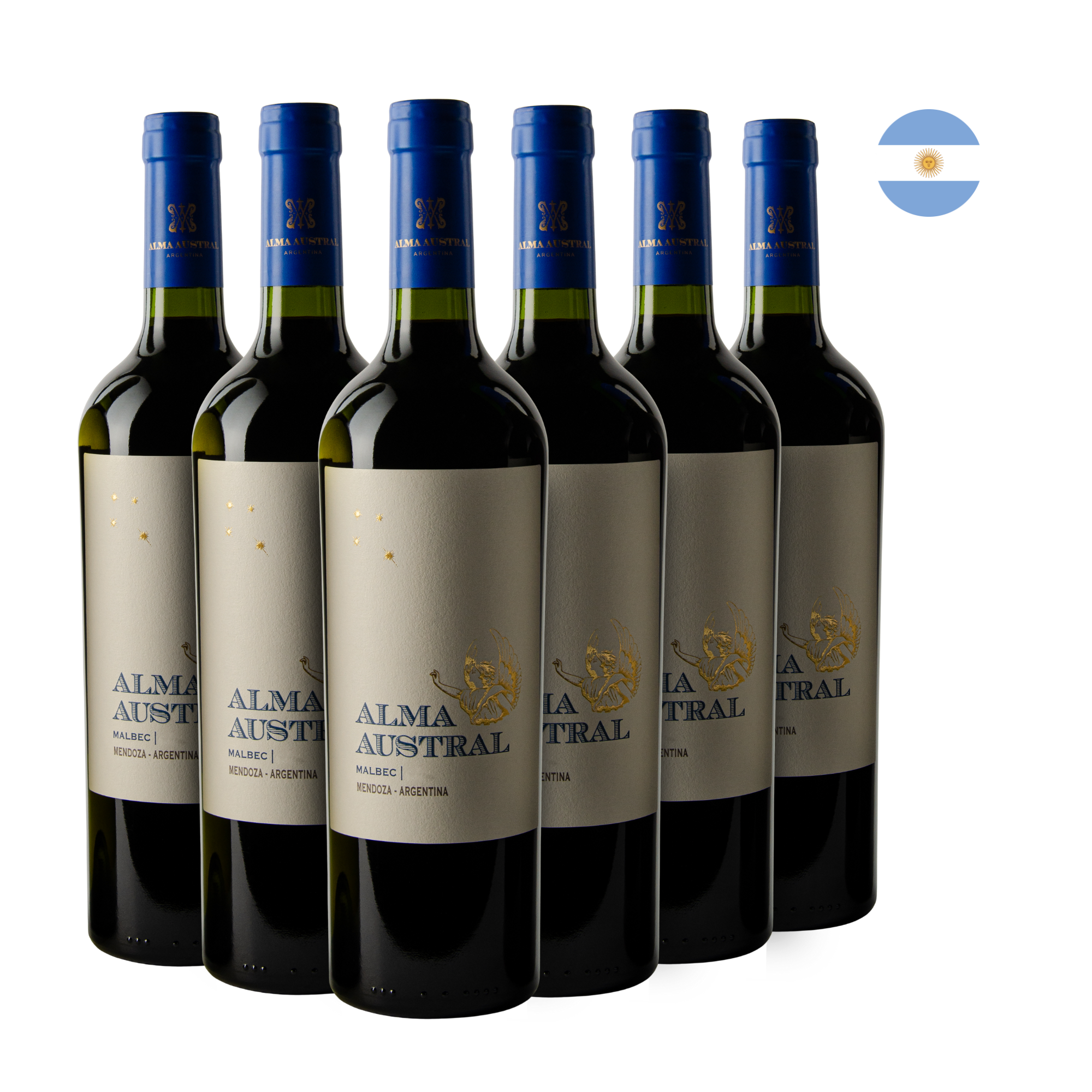 Kit 6 Alma Austral Vinho Malbec 2020